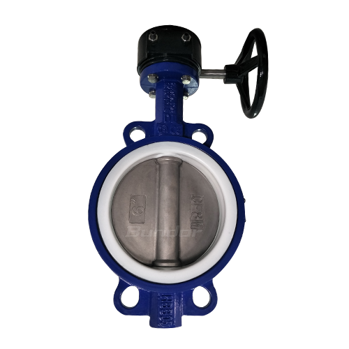 Worm Gear PTFE Seat Butterfly Valve1